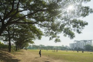 objectives of summer camp