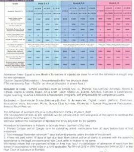 mentor fee structure